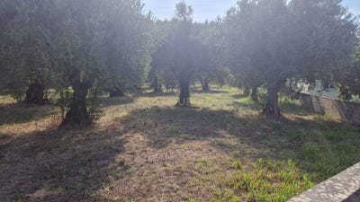 /international/pt/redinha-leiria-310094920081/?lang=zh-tw