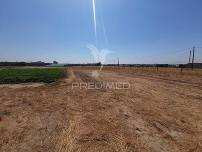 /international/pt/pegoes-montijo-setubal-municipality-310101494685/?lang=fr