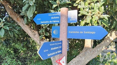 /international/pt/leiria-leiria-310103467026/?lang=pt