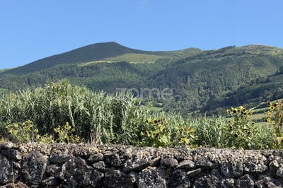 /international/pt/vila-franca-do-campo-azores-310101844917/