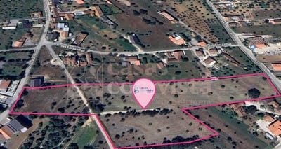 /international/pt/nossa-senhora-das-misericordias-santarem-120088409035/