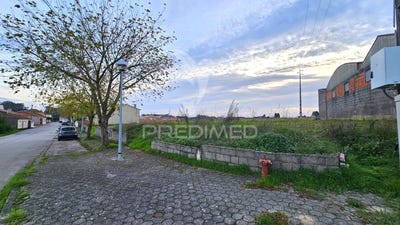 /international/pt/oliveirinha-aveiro-aveiro-310099654460/