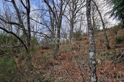 /international/pt/montalegre-vila-real-120090929809/