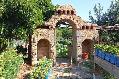 /international/pt/cantanhede-coimbra-310097949066/