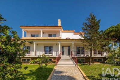 /international/pt/leiria-leiria-310103446590/