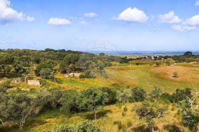 /international/pt/melides-setubal-municipality-310108292205/