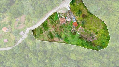 /international/pt/ponta-delgada-madeira-310103727366/