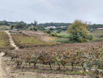 /international/pt/azueira-lisbon-310108210775/