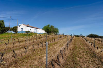 /international/pt/corval-portugal-corval-evora-310105187187/