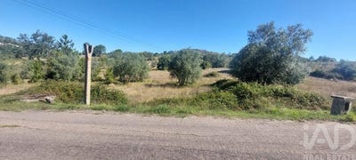 /international/pt/leiria-leiria-310105239757/