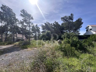 /international/pt/alcabideche-lisbon-310107442904/