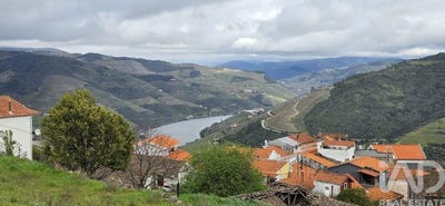 /international/pt/viseu-viseu-310106576639/