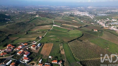 /international/pt/lisboa-lisbon-310096247176/