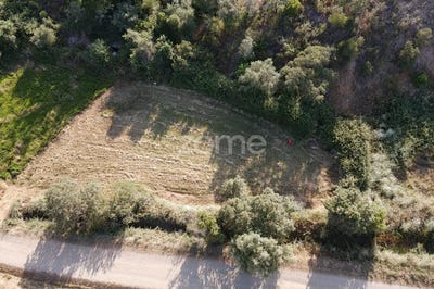 /international/pt/silves-faro-310100573466/