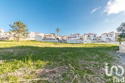 /international/pt/nazare-leiria-310102892452/