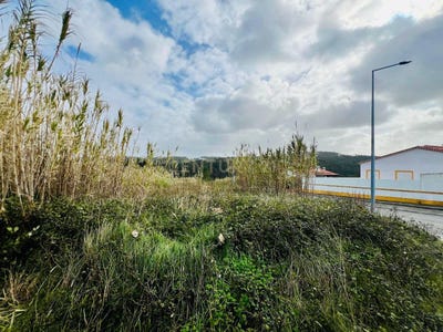 /international/pt/r-da-eira-8-a-dos-negros-portugal-a-dos-negros-leiria-310108003962/