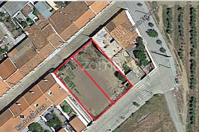 /international/pt/cuba-santarem-120082605183/