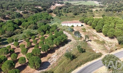 /international/pt/alpiarca-santarem-310102748747/