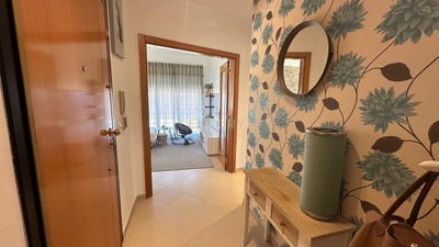 /international/pt/r-de-santo-andre-28-7800-296-beja-portugal-baleizao-beja-310104981157/