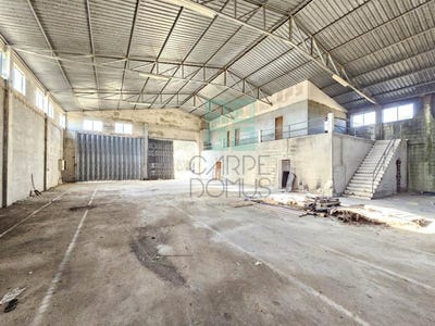 /international/pt/pelariga-leiria-310104224957/