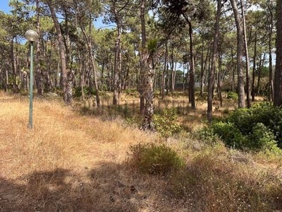/international/pt/almada-setubal-municipality-310100663618/