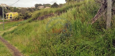 /international/pt/santa-cruz-madeira-310097946995/