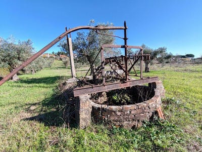 /international/pt/rua-19-de-dezembro-de-1965-12-madalena-portugal-madalena-e-beselga-santarem-district-310105828760/