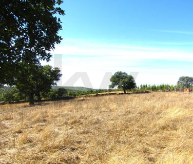 /international/pt/monte-claro-portalegre-310106968359/
