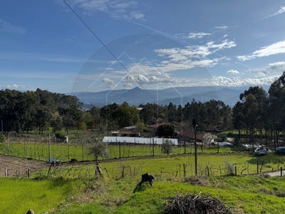 /international/pt/britelo-braga-310105538781/
