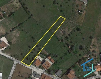 /international/pt/tomar-santarem-310103583416/