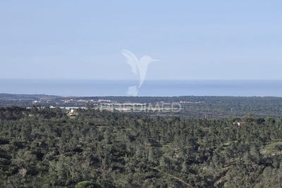 /international/pt/melides-grandola-setubal-municipality-310097496621/