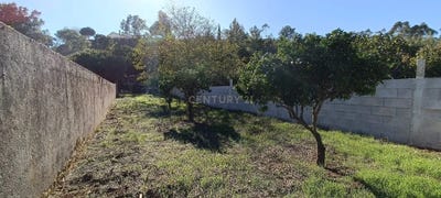 /international/pt/mira-de-aire-leiria-310094781998/