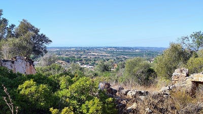 /international/pt/silves-faro-310103638854/