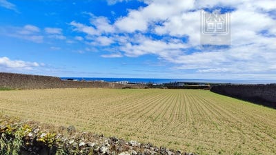 /international/pt/sao-jose-azores-310103451139/