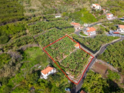 /international/pt/tabua-madeira-310108264311/