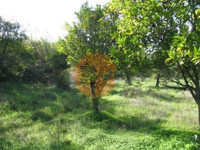 /international/pt/junqueira-castro-marim-faro-120086467534/