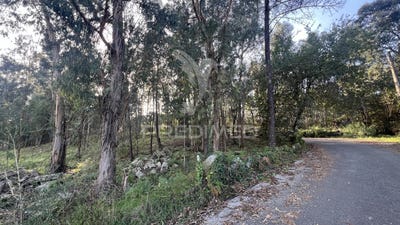 /international/pt/turiz-vila-verde-braganca-310097541440/