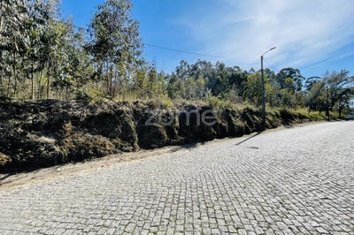 /international/pt/santo-tirso-braga-120083085543/