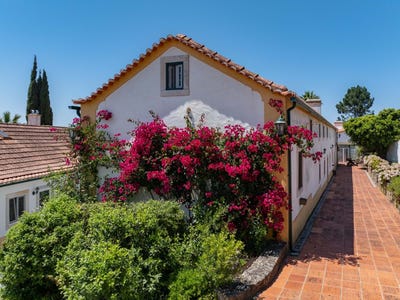 /international/pt/caldas-da-rainha-leiria-310099311940/