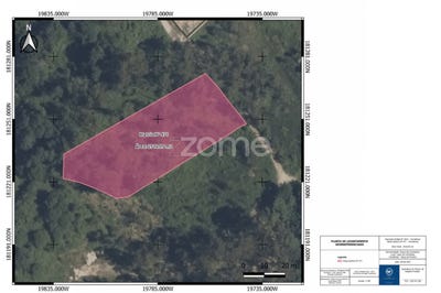/international/pt/pacos-de-ferreira-porto-310108922220/
