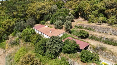 /international/pt/8550-313-monte-calote-monchique-portugal-monchique-faro-310108923289/