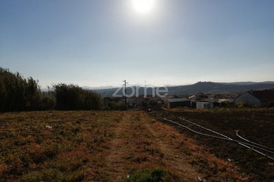 /international/pt/arruda-dos-vinhos-lisbon-120067138444/