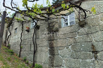/international/pt/terras-de-bouro-braga-120091989827/