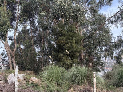 /international/pt/vila-nova-de-gaia-porto-310108559084/
