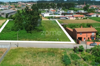 /international/pt/espinho-castelo-branco-310104248222/