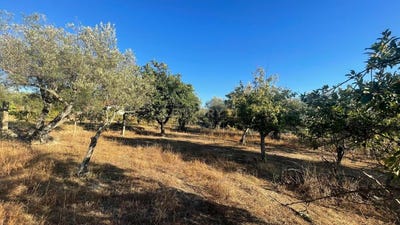 /international/pt/caminho-da-lomba-aldeia-do-bispo-guarda-310105250615/