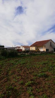 /international/pt/aljubarrota-leiria-310097952087/