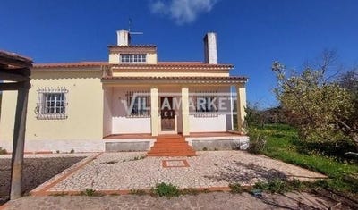 /international/pt/borba-matriz-evora-310108481845/