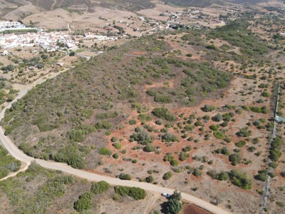 /international/pt/montinho-rocha-bensafrim-faro-310093891317/