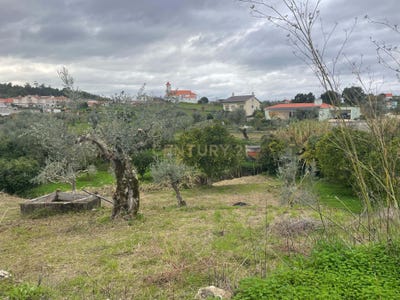 /international/pt/rua-hortas-do-ribeiro-martinchel-portugal-martinchel-santarem-310104131785/